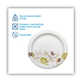 Dixie Pathways Medium-Weight Paper Plates 8.5” | 500 a Carton