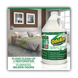 OdoBan Eucalyptus Odor Eliminator and Disinfectant | 1 Gallon