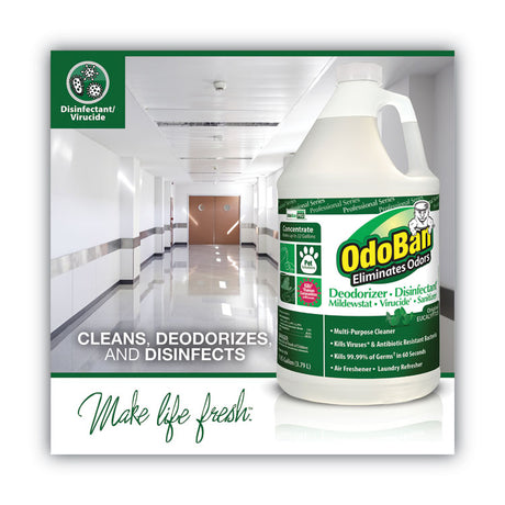 OdoBan Eucalyptus Odor Eliminator and Disinfectant | 1 Gallon